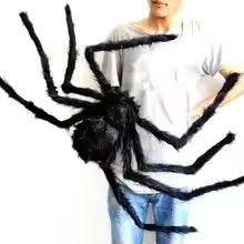 Creepy Spider Web Decor