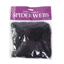 Creepy Spider Web Decor