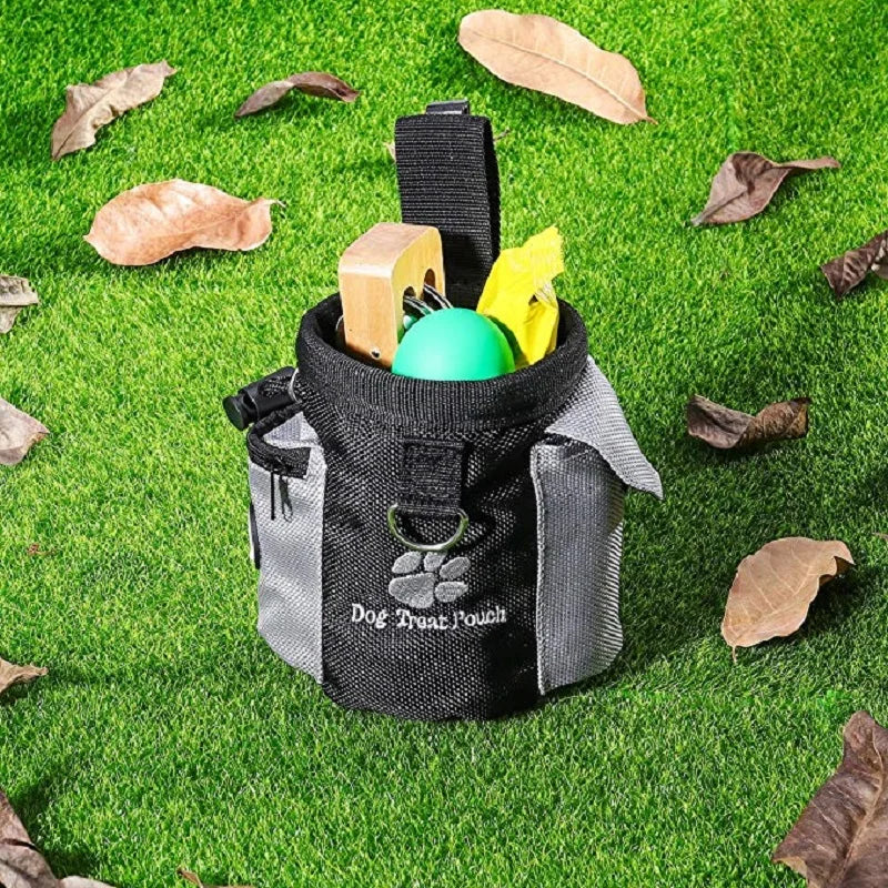 Quick-Grab Dog Treat Pouch