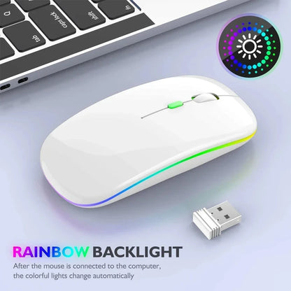 Wireless Backlit GlowSilent Rechargeable Mouse